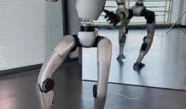 机器人跳舞视频,科技与艺术的完美融合